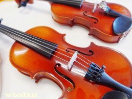 ヴァイオリン楽器